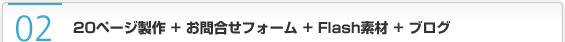 20ページ製作 + お問合せフォーム + Flash素材 + ブログ